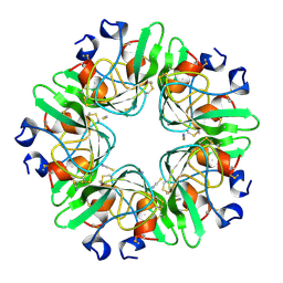 BU of 1bhc by Molmil