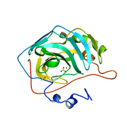 BU of 1bic by Molmil