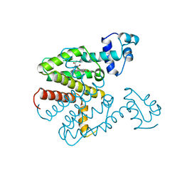 AU of 1bj0 by Molmil