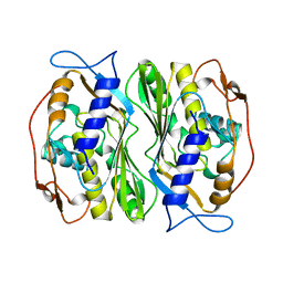 BU of 1bkp by Molmil