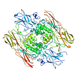 AU of 1bl2 by Molmil