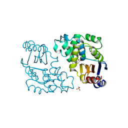 BU of 1blc by Molmil