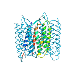 BU of 1bm1 by Molmil