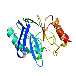 AU of 1bme by Molmil