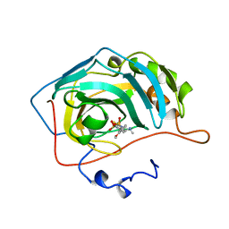 BU of 1bnm by Molmil