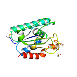 BU of 1bs9 by Molmil