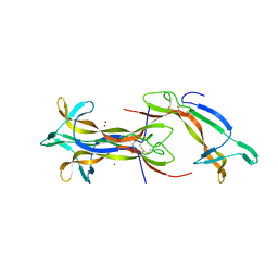 AU of 1btg by Molmil