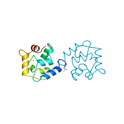 BU of 1bu3 by Molmil