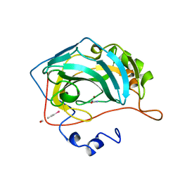 BU of 1bv3 by Molmil