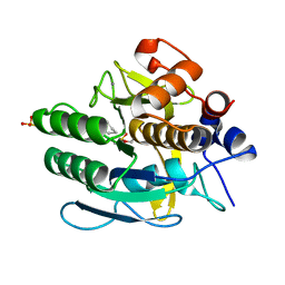 AU of 1c13 by Molmil