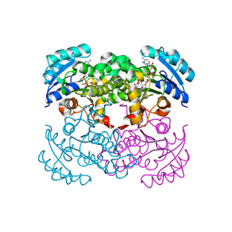 BU of 1c14 by Molmil