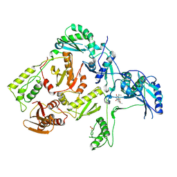 BU of 1c1c by Molmil