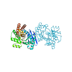 BU of 1c1d by Molmil