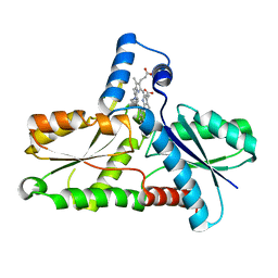 BU of 1c1h by Molmil