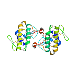 BU of 1c1j by Molmil