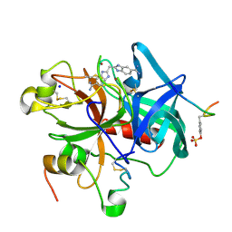 BU of 1c1v by Molmil