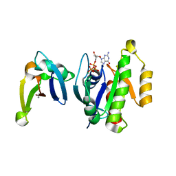 BU of 1c1y by Molmil