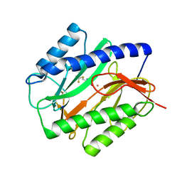 BU of 1c22 by Molmil