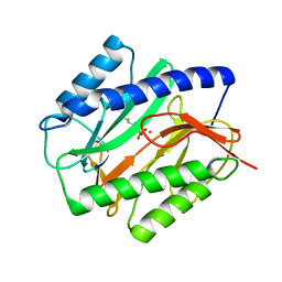 BU of 1c23 by Molmil