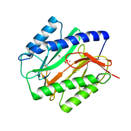 BU of 1c24 by Molmil