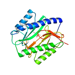 BU of 1c27 by Molmil