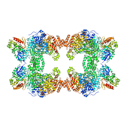 BU of 1c30 by Molmil