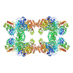 BU of 1c3o by Molmil