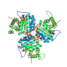 BU of 1c3q by Molmil