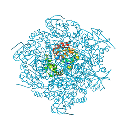 BU of 1c4x by Molmil