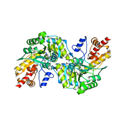 BU of 1c7n by Molmil