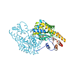 BU of 1c9c by Molmil