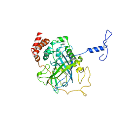 AU of 1cae by Molmil