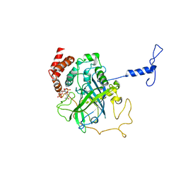 AU of 1caf by Molmil