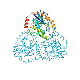 BU of 1cb0 by Molmil