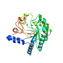 BU of 1cb2 by Molmil