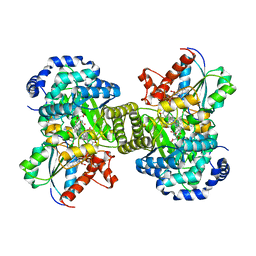 BU of 1cb7 by Molmil