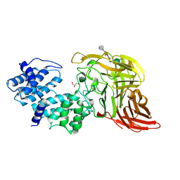 BU of 1cb8 by Molmil