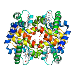 BU of 1cbm by Molmil