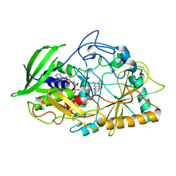 BU of 1cbo by Molmil