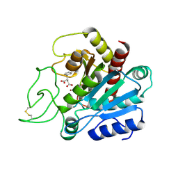 BU of 1cbx by Molmil