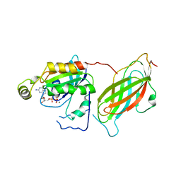 BU of 1cc0 by Molmil