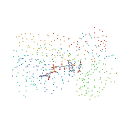 BU of 1cc6 by Molmil