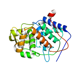 BU of 1cci by Molmil