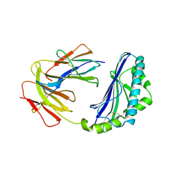 BU of 1cd1 by Molmil