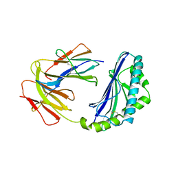 BU of 1cd1 by Molmil