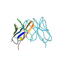 BU of 1cd8 by Molmil