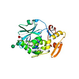 BU of 1cf5 by Molmil