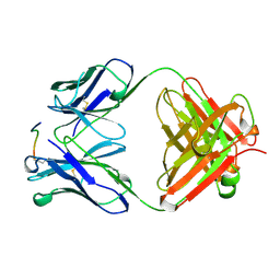 BU of 1cfn by Molmil