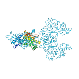 BU of 1cfr by Molmil