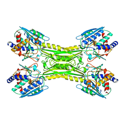 BU of 1cg2 by Molmil